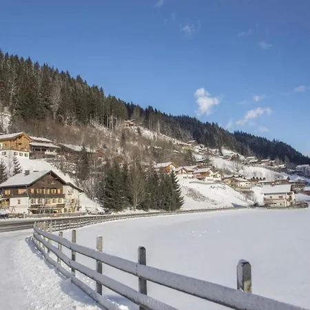 Nyaraló Schoeneben Waldkrone Wald im Pinzgau